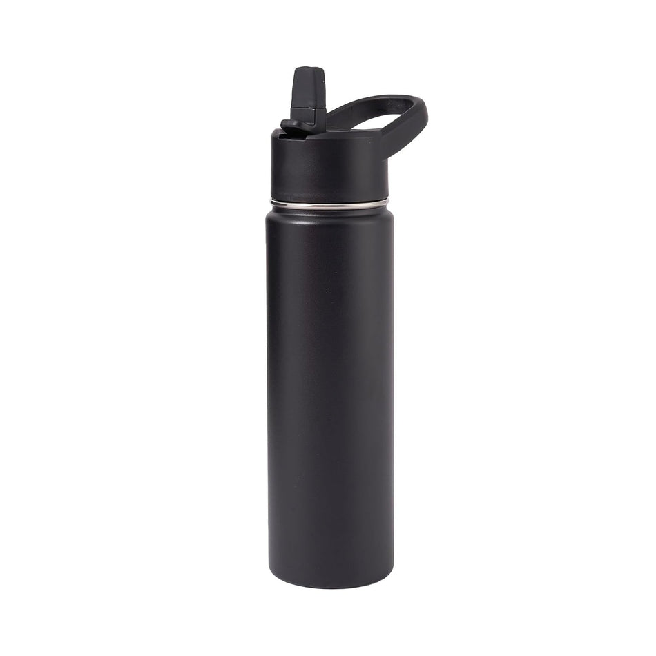 Aquapureline Metal Water Container with Straw and Broad Opening Cap, Stainless Steel